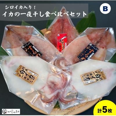 ふるさと納税 米子市 【先行受付】シロイカ入りイカの一夜干し食べくらべセット(Bセット)