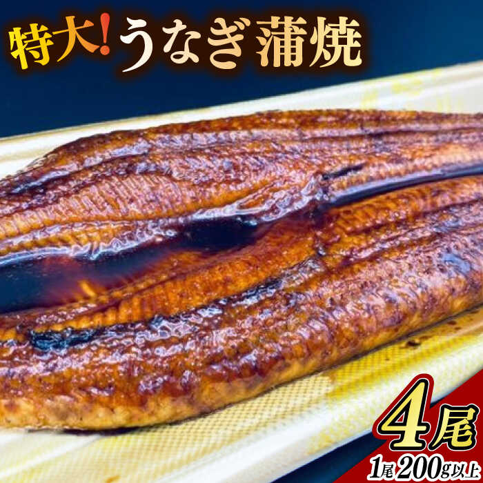 【ふるさと納税】特大うなぎ蒲焼 4尾（200g以上 / 尾） / 鰻 うなぎ 蒲焼 / 佐賀県 / ふるさとの恵み [41AQAA055]