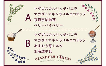 B:ハンデルスベーゲン無添加アイスクリーム/お得なパーティーセット！パイントサイズ４個入り（マダガスカルリッチバニラ・ピスタチオ・マカダミアキャラメルココナッツ・京都宇治抹茶）