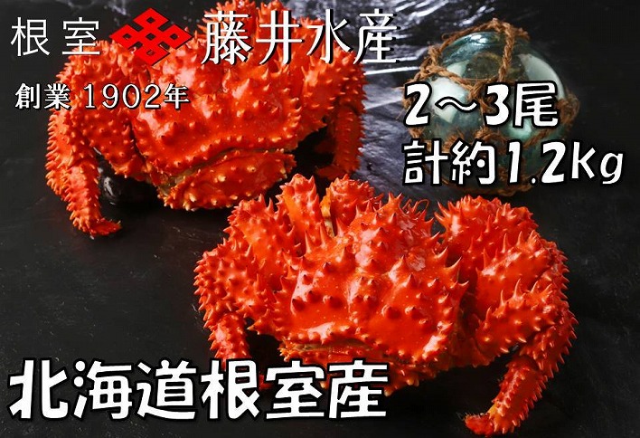 【北海道根室産】＜鮭匠ふじい＞ボイル花咲がに2～3尾(計約1.2kg) A-42084