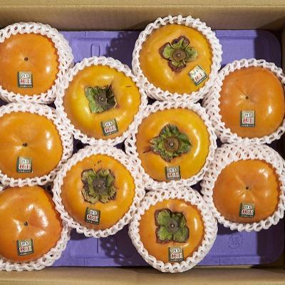 ふるさと納税 直方市 秋王(あきおう)　柿　約3kg箱(8-12玉)(直方市) |  | 02