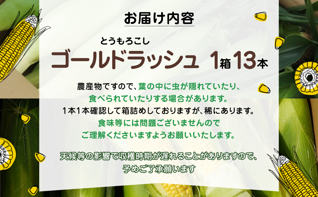 大村農場の朝採り極甘とうもろこしゴールドラッシュ13本(6月下旬から発送)【配送不可地域：離島】 TAKG002