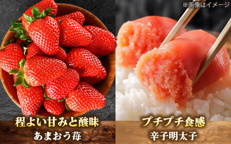 【全7回定期便】博多うまいもん定期便 寄附額 10万円[BGZZ015]