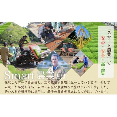 ふるさと納税 南相馬市 天のつぶ「新世代」 白米 10kg | 令和7年産 米10kg 精米 米10キロ 紅梅夢ファーム |  | 01