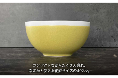 【美濃焼】Weekend citron-ウィークエンドシトロン- ノール サラダボウル 2個セット（シトロン×パールグレー）（レンジ対応/食洗器対応/鉢）【Felice-フェリーチェ-藤田陶器】食器 