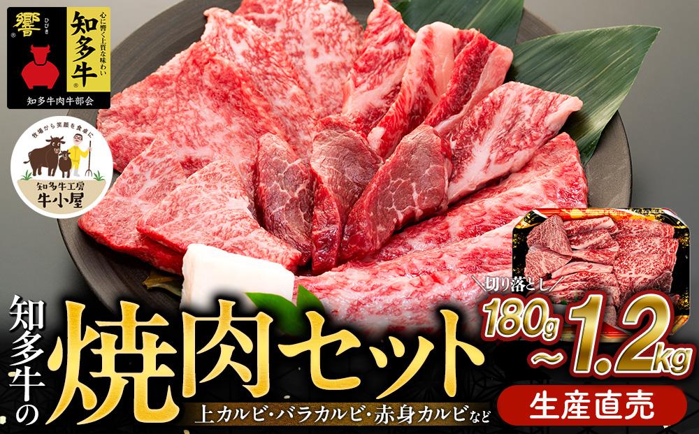 
                  【容量 選べる】 知多牛 響 焼肉セット 180g~1.2kg 上カルビ バラカルビ 赤身カルビ 部位おまかせ 切り落とし 生産直売 国産 牛肉 焼肉 肉 網焼き 牛 牛肉 焼肉 切り落し 切落 牛丼 牛肉 焼肉 肉 国産牛 焼き肉 牛 BBQ 牛肉 焼肉 肉 カルビ 牛 ふるさと納税牛肉 ふるさと納税焼肉 ふるさと納税カルビ 牛肉 焼肉 肉 牛 バーベキュー 愛知県 南知多町 人気 おすすめ
                