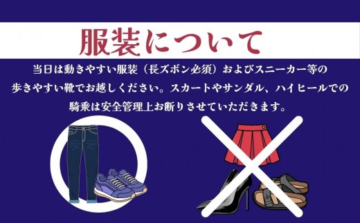 乗馬体験（ひき馬）1回分 北海道安平町 早来エクワインファーム