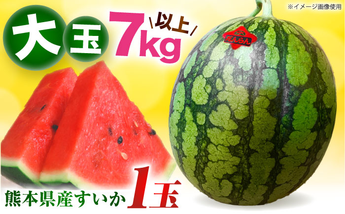 【先行予約】 大玉スイカ 約7kg以上（1玉） 【とみおか農園】 [ZEM004]