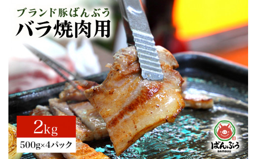 ブランド豚「ばんぶぅ」小分け 豚バラ焼肉用 2kg（500g×4パック） 冷凍便 2キロ  たっぷり 豚肉 豚バラ肉 豚バラスライス肉 焼き肉用 やき肉用 やきにく用 ヤキニク用 薄切り肉 うす切り肉 ぶた肉 ブタ肉 国産 茨城県産 ギフト プレゼント お祝い 42-P