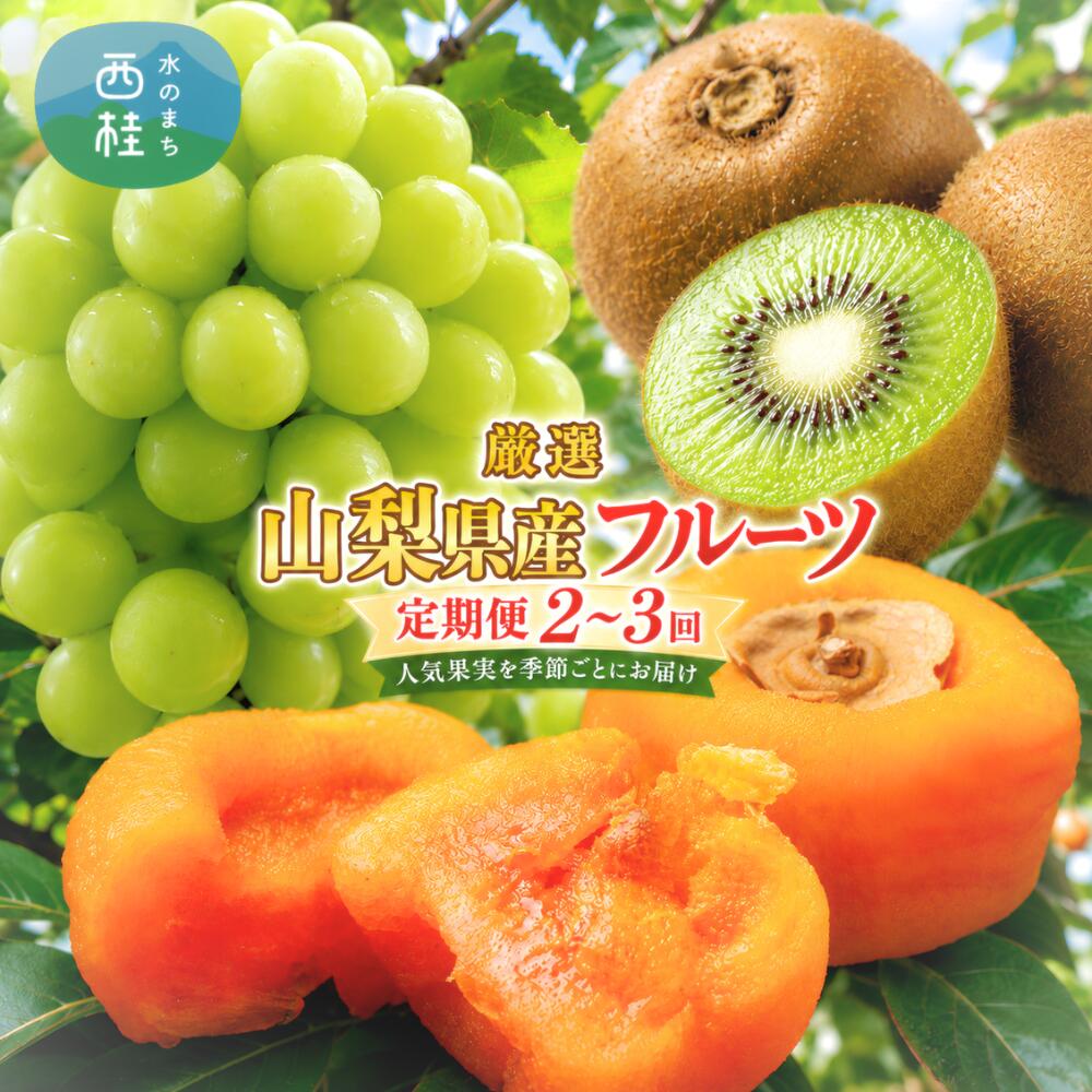 【ふるさと納税】＜定期便＞シャインマスカット あんぽ柿 キウイ 山梨県産 定期便 2回 3回 果物 フルーツ 旬 食べ比べ【2026年8月下旬〜2027年1月頃まで順次発送】