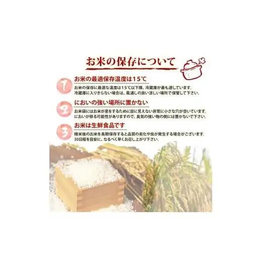 【 コシヒカリ 】 コシヒカリ 5kg