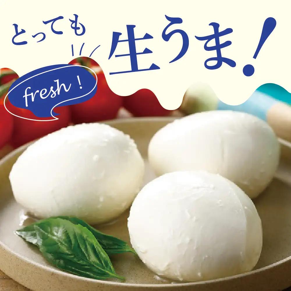 チーズ 明治 北海道 十勝 生モッツァレラ 100g×6袋 チーズ