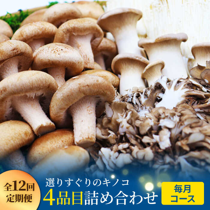 【ふるさと納税】【12回定期便】きのこ定期便 厳選セット 4品目「12回（毎月）」お届け 特選キノコ 詰め合わせ きのこ きのこセット セット キノコ 野菜 調理 きのこ 新鮮 産地直送 舞茸 炒め物 特選キノコ 詰め合わせ きのこ きのこセット / 南島原市 / 吉岡青果 [SCZ015]