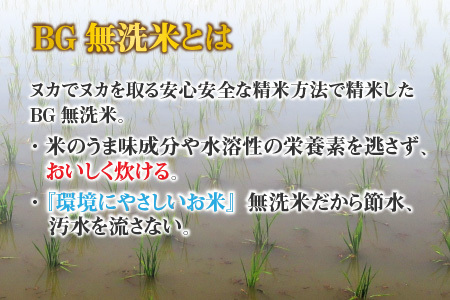 【令和７年産 毎月定期配送・計6回】 BG無洗米こしひかり5kg×6回　[K-00401] / 無洗米