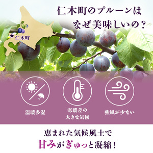 プルーン もり園 北海道産 プルーン【約3kg(500g×6パック)】