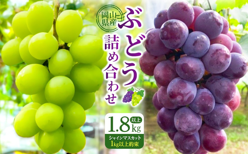 
                  岡山県産ぶどう詰め合わせ【福袋】１.8キロ以上（シャインマスカット1キロ以上お約束します）
                