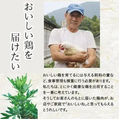 118003　米ヶ岡鶏　手羽元　100本