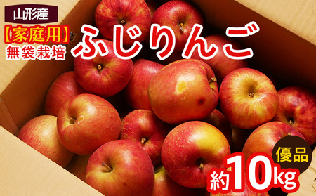 【家庭用】無袋栽培ふじりんご 優品 約10kg入り りんご リンゴ 林檎 フルーツ 果物 くだもの 10キロ 送料無料 山形【令和8年産先行予約】FS25-763