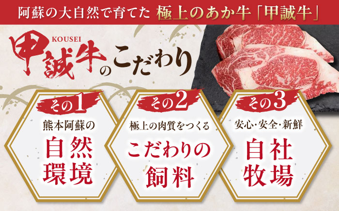 【全6回定期便】熊本県産 あか牛 ロースステーキ セット 計400g ( 200g × 2枚 ) 冷凍 専用タレ付き あか牛のたれ付き 熊本和牛【有限会社 三協畜産】[YCG070] 132000 1