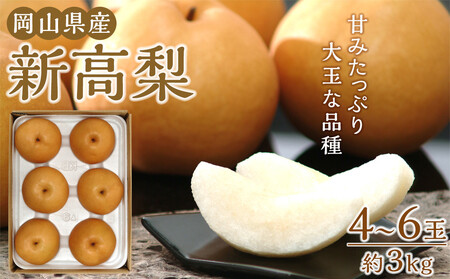 梨 2026年 岡山県産 新高梨 約3kg ( 4～6玉 ) お届け：：10月中旬～11月中旬