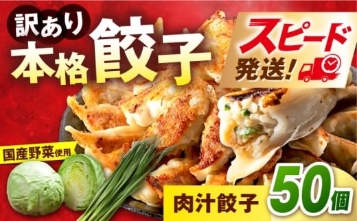 訳あり 本格 肉汁餃子 50個セット本格 餃子 ぎょうざ 国産 ギョーザ 野菜 わけあり ワケアリ 冷凍餃子 ぎょうざ ジューシー 中華 セット 詰め合わせ 国産野菜 大容量 たっぷり 惣菜 横須賀【株式会社オウモリ食品】 [AKHQ007]