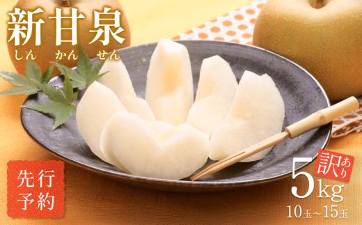 【先行予約】（訳あり）中野農園 梨 ”新甘泉” 5kg箱｜鳥取 岩美 梨 なし ナシ  赤梨 果物 フルーツ【41022】