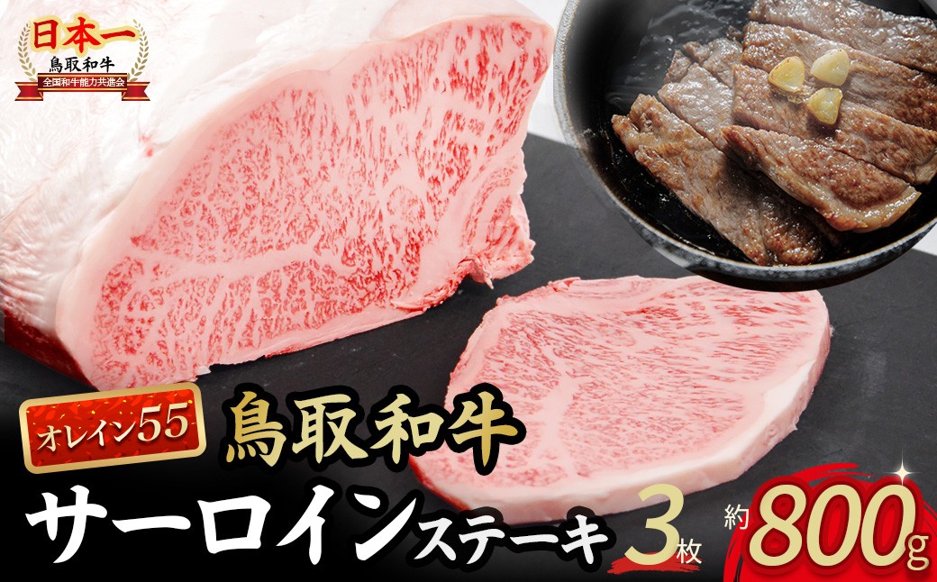 
            鳥取和牛 オレイン55 サーロインステーキ 3枚 （ 800g ） 国産 牛肉 和牛 黒毛和牛 サーロイン ステーキ サーロインステーキ 高級 希少 鳥取県 倉吉市 KR1289
          