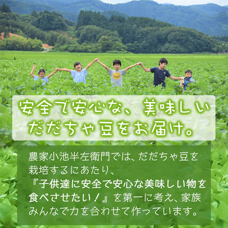 【令和7年産】朝採りだだちゃ豆 【白山】1.5kg (500g×3袋) 枝豆　小池半左衛門