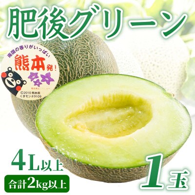 肥後グリーンメロン 1玉 4L以上 約2kg(宇城市)【1702448】