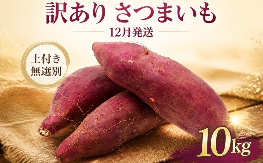 【12月発送】 訳あり さつまいも 紅はるか 約10kg  サツマイモ さつま芋 紅ハルカ 甘藷 生芋 いも 芋 イモ 焼き芋 やきいも 野菜 おやつ 訳アリ わけあり 家庭用 不揃い 規格外 旬 産地直送 農家直送 茨城県 鉾田市 菅谷商店