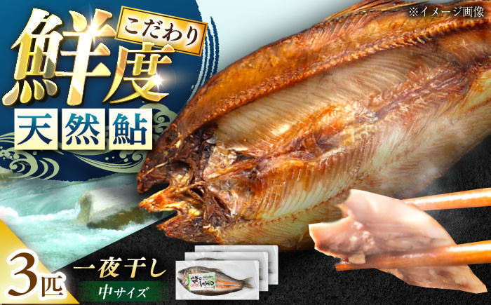 
                  【スピード配送】天然あゆの一夜干し 中 3匹セット / 天然あゆ 一夜干し 干物 鮎 天然 天然鮎 天然あゆ 川魚 中サイズ 魚介類 海産物 グリル 塩焼き 焼き魚 高級魚 贈り物 美味しい あゆ料理 酒の肴 おつまみ 料理食材 お取り寄せ 贈答 ギフト 岐阜県 / 恵那市 / 恵那物産館 [AUFS001]
                