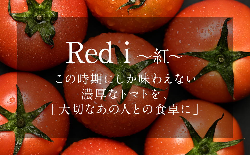 【先行予約】 Red i ～紅～ 1kg トマト とまと 野菜 やさい 旬の野菜 新鮮な野菜 地元産野菜 ご当地 国産 特産品 お取り寄せ 家庭用 食卓 【2026年1月中旬より順次発送】