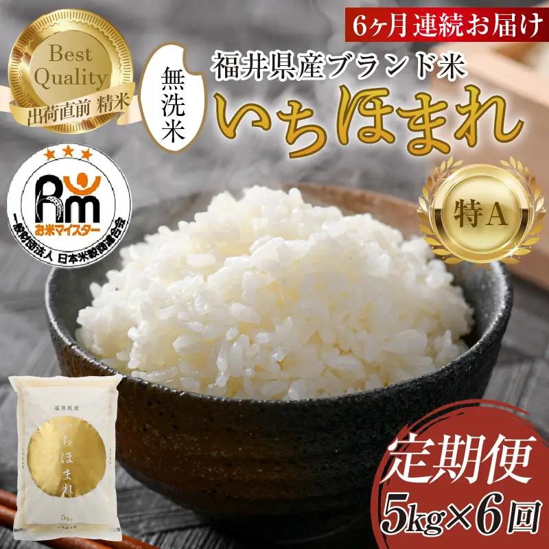【令和7年産】定期便6回 いちほまれ 無洗米 5kg×6回（30kg）／ 福井県産 ブランド米 ご飯 白米 新鮮 [aw064-j004]