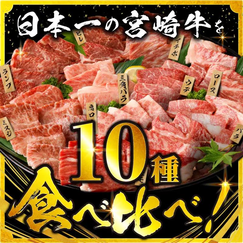 宮崎牛 焼肉 10種 畜産農家応援！[父の日までにお届け]