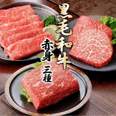 【ふるさと納税】黒毛和牛赤身セット　C0-73【配送不可地域：離島】【1628783】