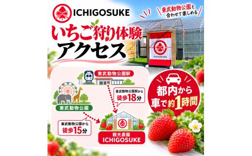 いちご狩り体験 子ども2名（小学生） チケット | いちごがり 収穫 体験 東武動物公園すぐ 小学生 観光農園ICHIGOSUKE 埼玉県 宮代町 