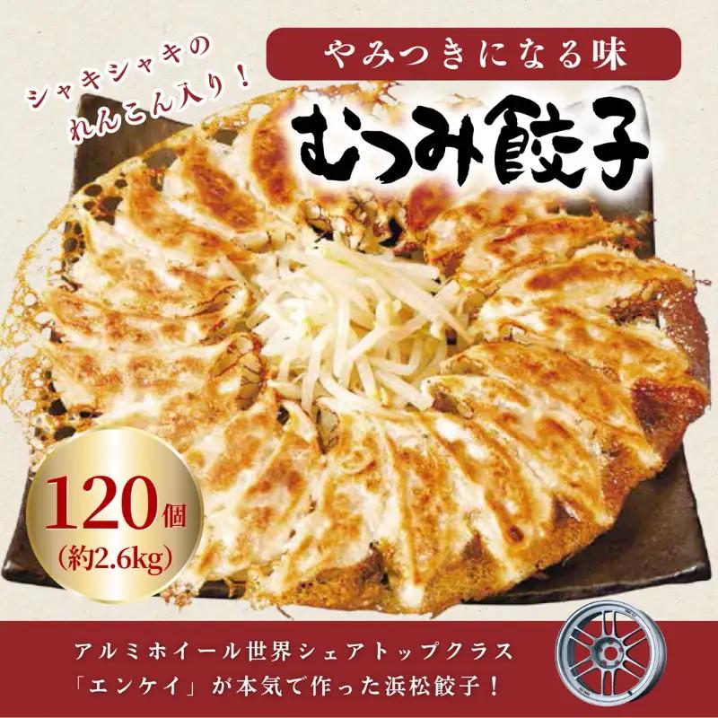 浜松餃子 蓮根たっぷり むつみ屋 むつみ餃子 120個 (30個×4) 餃子 国産 冷凍 ぎょうざ 浜松