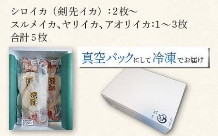シロイカ入りイカの一夜干し食べくらべセット（Bセット）