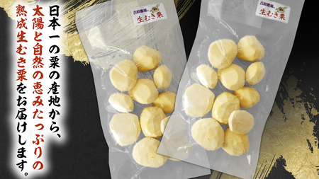 熟成 生むき栗 ( 120g × 5袋 ) 吉原農場 完熟栗 栗 くり クリ 果物 フルーツ 秋の味覚 [FC004sa]