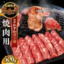 【ふるさと納税】長崎和牛 あか牛 焼肉用 500g《対馬市》【株式会社Tsukushi】 対馬 牛 和牛 焼肉 冷凍配送[WCR005] 17000 17000円