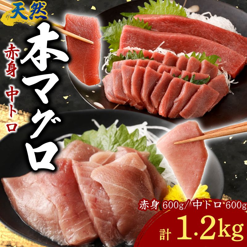 【ふるさと納税】 天然本まぐろ 赤身 中トロ 切落し 計1.2kg お手軽 食べきりサイズ 切り落とし お刺身 魚介類 海鮮 小分け 魚 天然まぐろ 魚貝 マグロ 高知県 簡単解凍 簡単調理 惣菜 冷凍