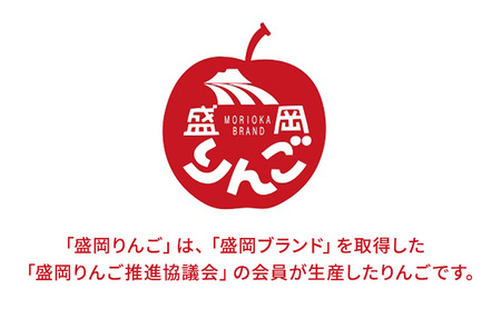 先行予約【12月発送】朝島観光りんご園 盛岡りんご「サンふじ」約5kg 果物類 フルーツ デザート 果汁 甘い 酸味 バランス 完熟 