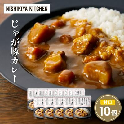 ふるさと納税 岩沼市 じゃが豚カレー10個 にしき [No.5704-1697]