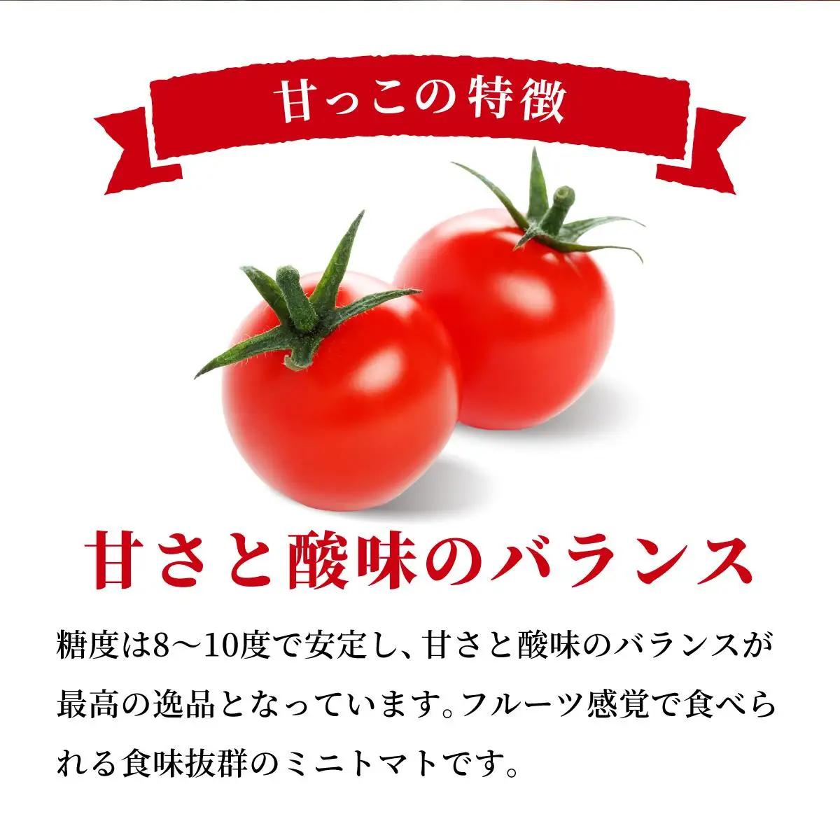 ＜先行予約＞北海道伊達産 ミニトマト 甘っこ 3kg【55250940】