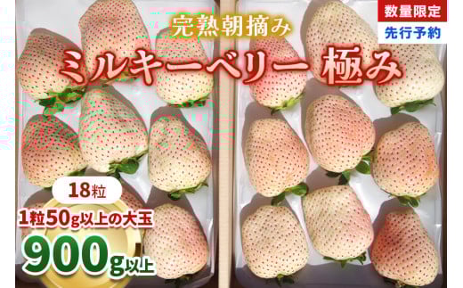 [数量限定] 完熟朝摘みミルキーベリー 極み 18粒《1月初旬～2月初旬に順次発送》 澳原いちご農園 | いちご イチゴ 苺 フルーツ ミルキーベリー 果物 産地直送 栃木県産