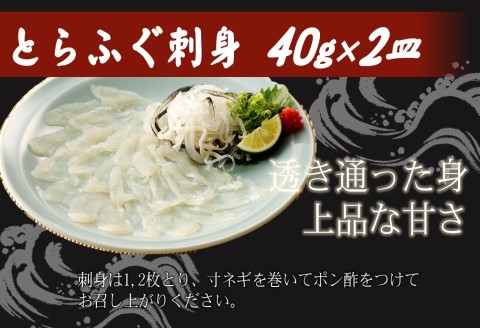 漁協直送！贅沢に刺身を味わう　とらふぐ刺身とちり鍋セット2～4人前【D5-008】 とらふぐ トラフグ ふぐ フグ 河豚 刺身 ふぐ刺し フグ刺し 鍋 ちり鍋 ふぐちり 直送 松浦市