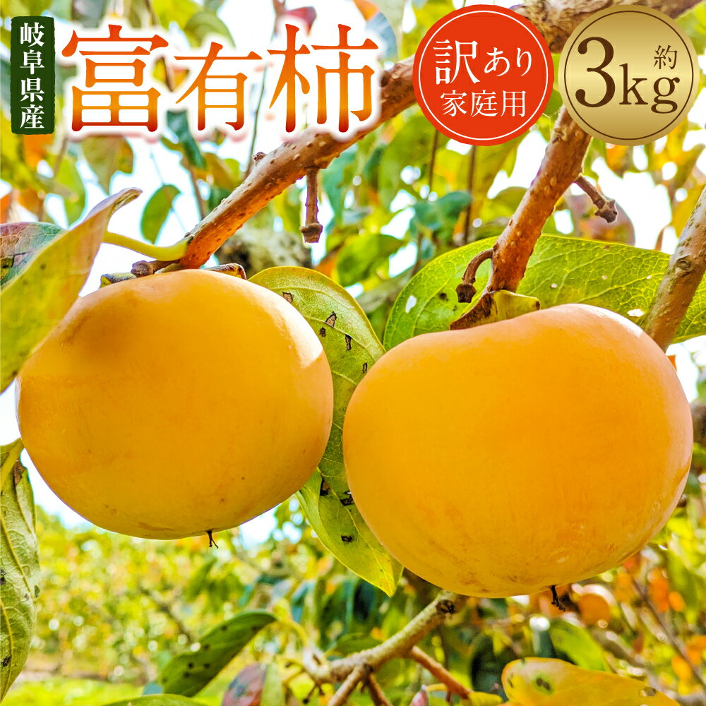 【ふるさと納税】【先行予約】 《訳あり》山之上産 富有柿 家庭用 3kg（10個～18個）果物 くだもの フルーツ 柿 かき カキ 甘柿 旬 訳あり 岐阜 美濃加茂 みのかも 岐阜県 美濃加茂市 送料無料 【2026年11月発送予定】