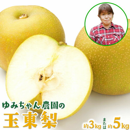【ふるさと納税】梨 なし 旬の梨 フルーツ 豊水 あきづき 甘太 新高 ゆみちゃん農園の玉東梨 選べる 約3kg 約5kg 《内容量をお選びください》熊本県玉名郡玉東町 梨 なし 果物 フルーツ《8月下旬-10月上旬頃出荷》