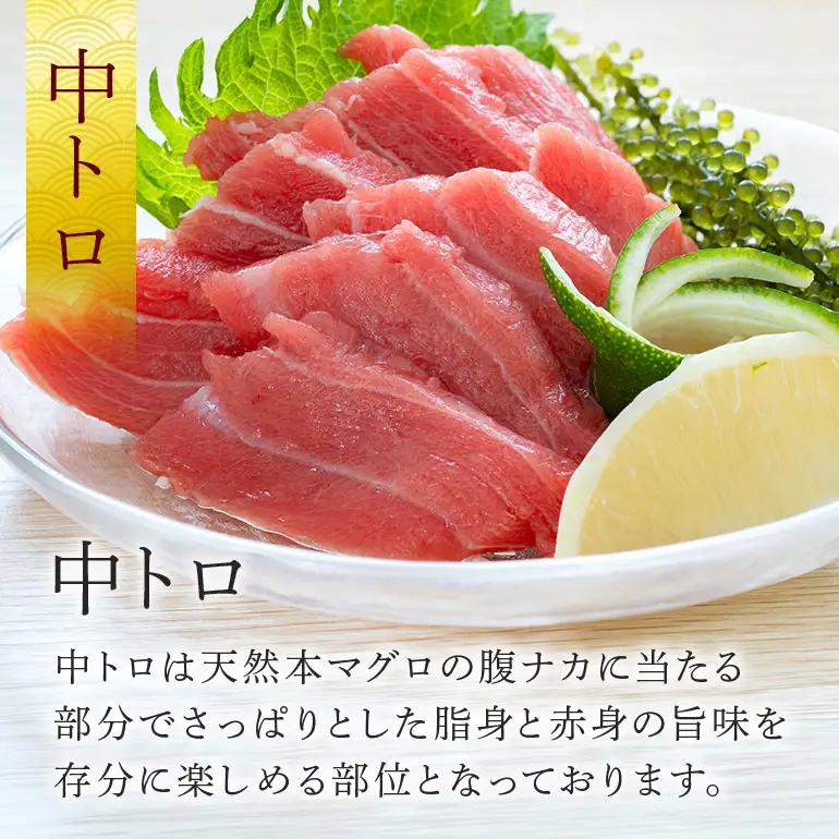 沖縄県産「旬の天然本マグロ」をお届け！天然本マグロ切り落とし&赤身柵セット 1.2kg 99-11