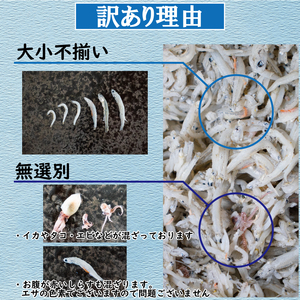 訳あり しらす 約1.25kg 訳あり 不揃い しらす干し ごはんのお供 おつまみ 便利 しらす丼 グルメ 食品 魚 海鮮 シラス 愛媛県 松山市 （ しらす 訳あり しらす 訳あり しらす 訳あり 